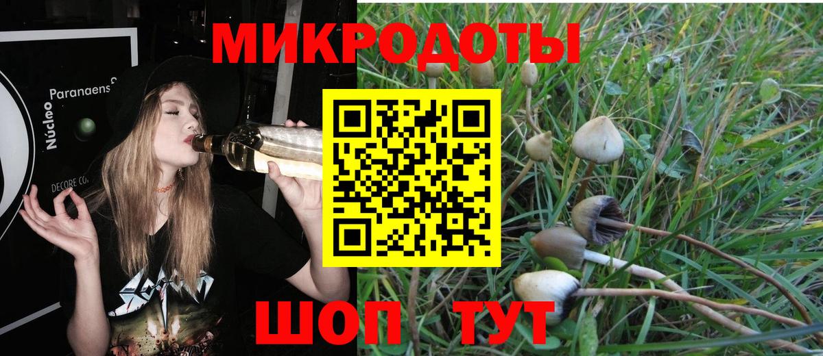 Псилоцибиновые грибы Psilocybe  Галлюциногенные грибы мицелий  закладки  Волгоград  Вход с VPN 