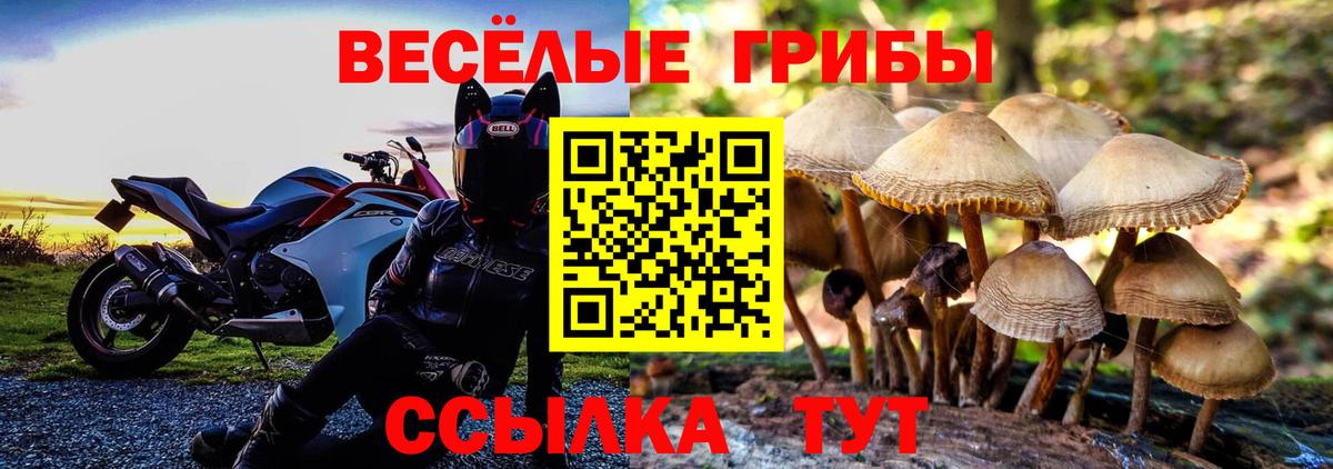 Псилоцибиновые грибы Magic Shrooms Волгоград